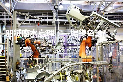 羽絨廢水處理：一場綠色環(huán)保的羽毛盛宴？
